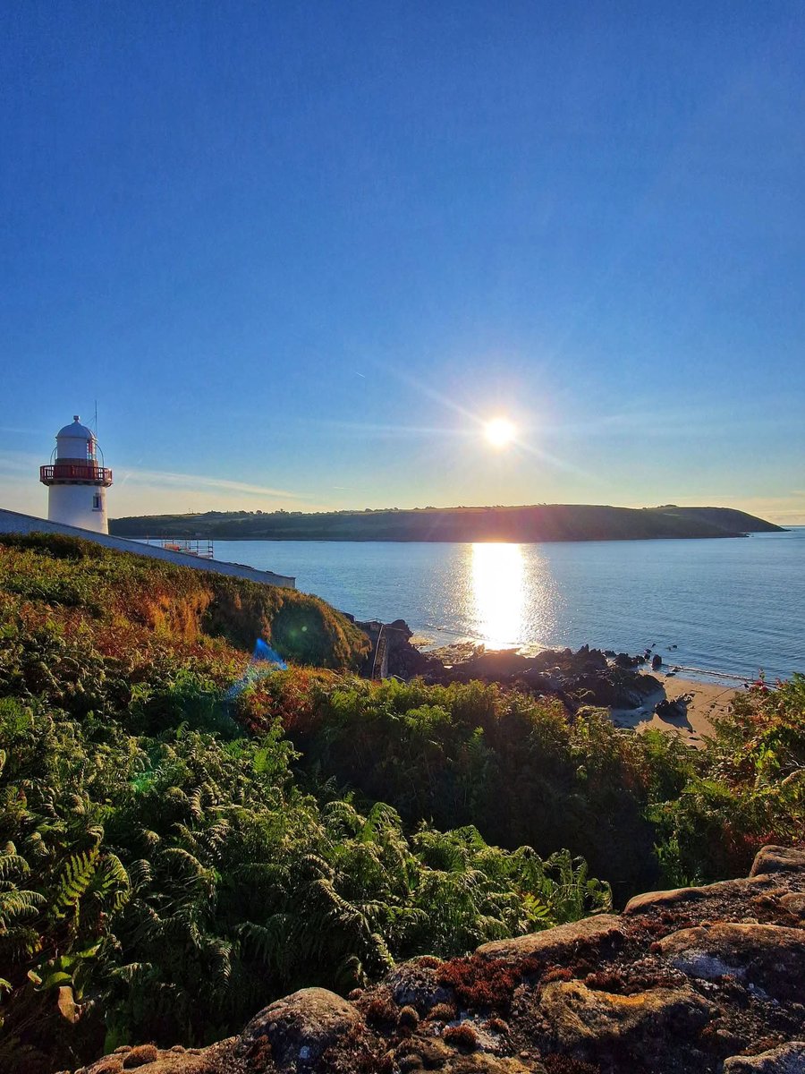 ThisIsIreland3's tweet photo. Great start to the weekend....have a great Saturday everyone 🏖️🌊

📍 Youghal, East Cork - Ireland 🇮🇪

📸 Yvonne Sanders 

#Cork #Youghal #Ireland #Weekend #Saturday #Eastcork #Beach https://t.co/WQdskze5GE