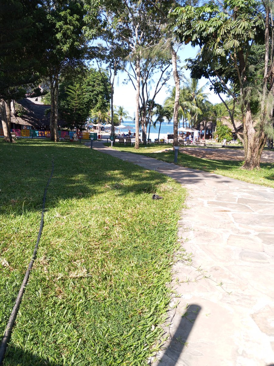 Rapudo_'s tweet photo. Mwili Iko Diani lakini roho Iko Zanzibar. https://t.co/GrW7fOmgNl