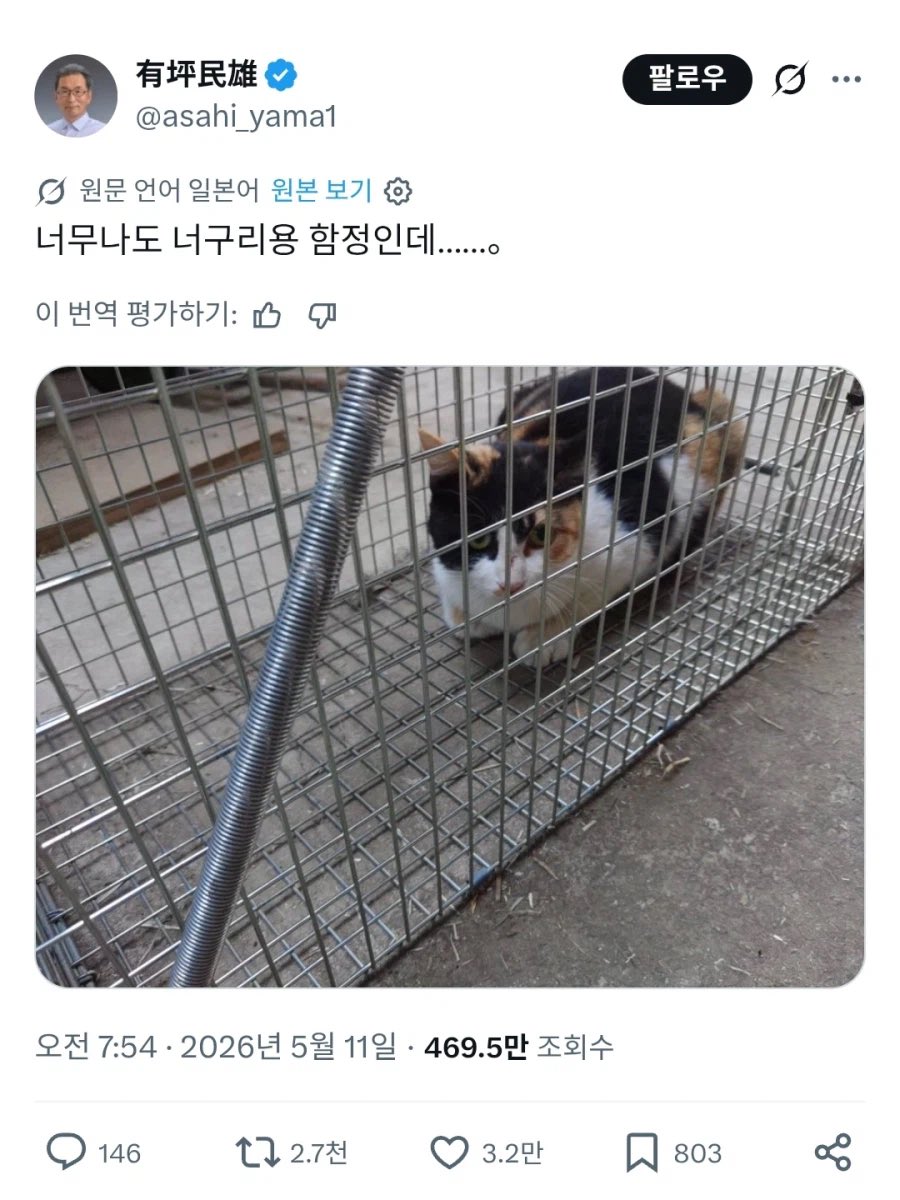 water_me10n_'s tweet photo. 어차피 나올 수 있으니까 밥 먹으러들어가는 너굴고양이 https://t.co/T5Fs8W25SR