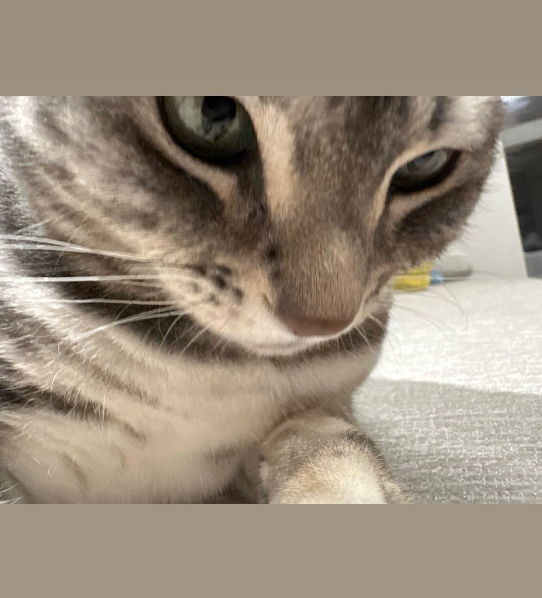 gomin__'s tweet photo. 따끈따끈한 망고 얼빡🥹🥹 https://t.co/67nP8Itnej
