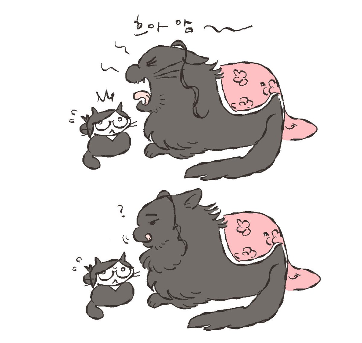 akkoh9k's tweet photo. 고양이 대장... https://t.co/CvBv7q0PvU