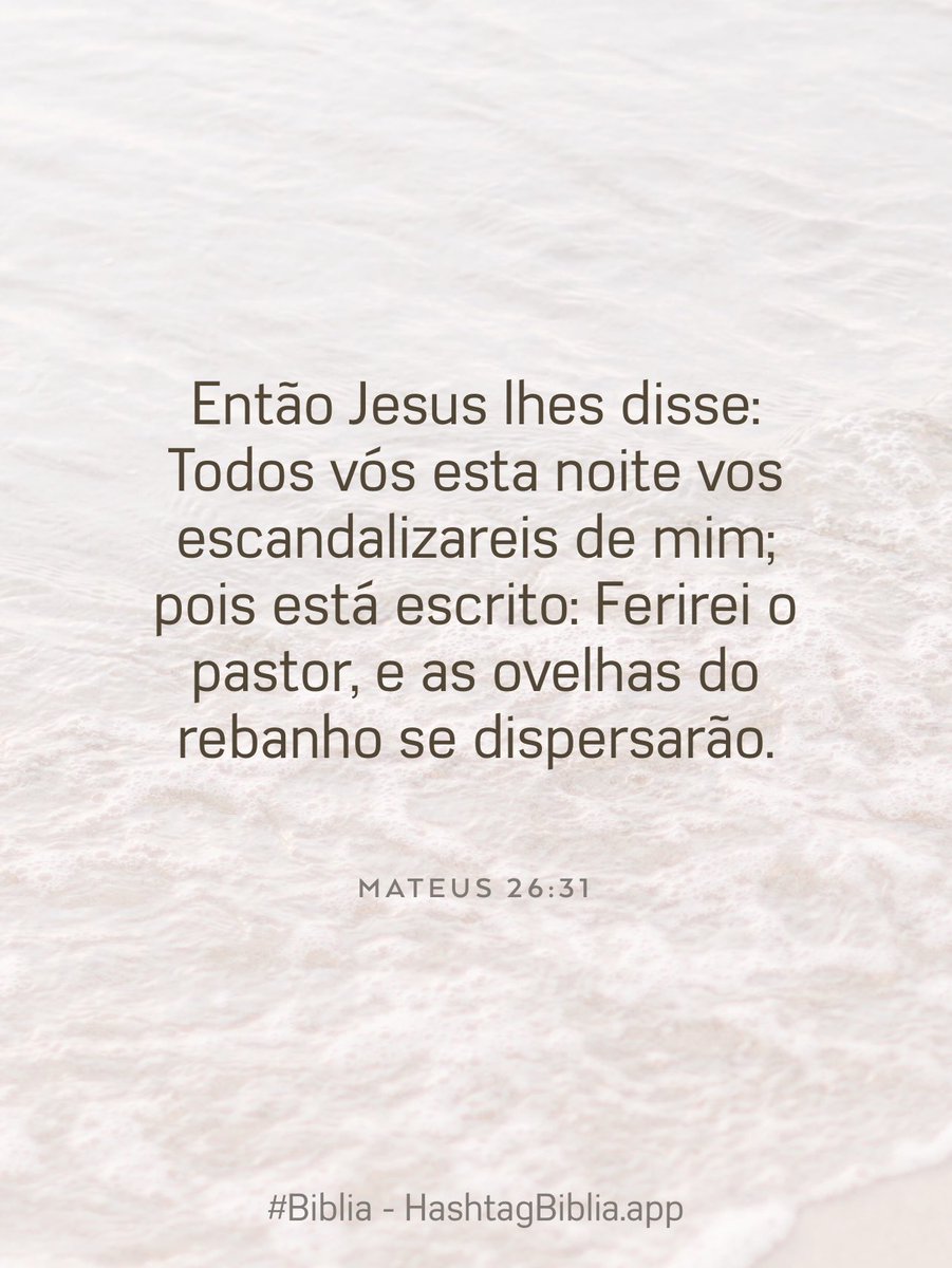 JoseMagazoni's tweet photo. #Biblia https://t.co/Qf8JC2j1cA https://t.co/TWKEzicbPv