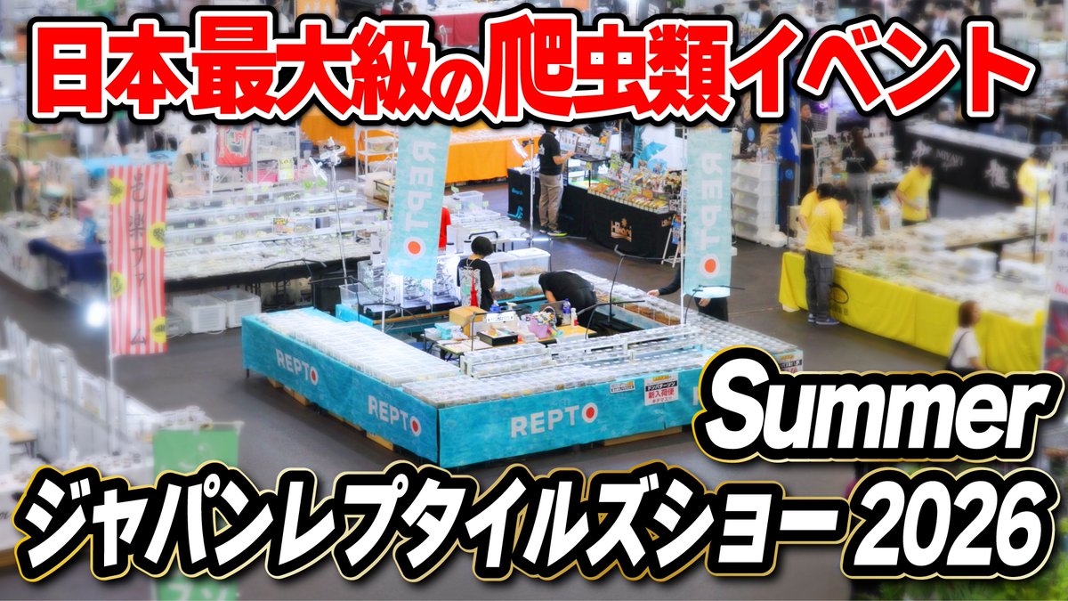 reptilestokyo_n's tweet photo. 【新作YouTube🦎】
夏レプ2026、REPTOブースの様子をお届けします!
お越しいただいた皆様、生体をお迎えいただいた皆様、
声をかけてくださった皆様、本当にありがとうございました。
▼動画はリプ欄から🐍
#REPTO #夏レプ #JRS #爬虫類 #爬虫類イベント https://t.co/tr79h8vLWv