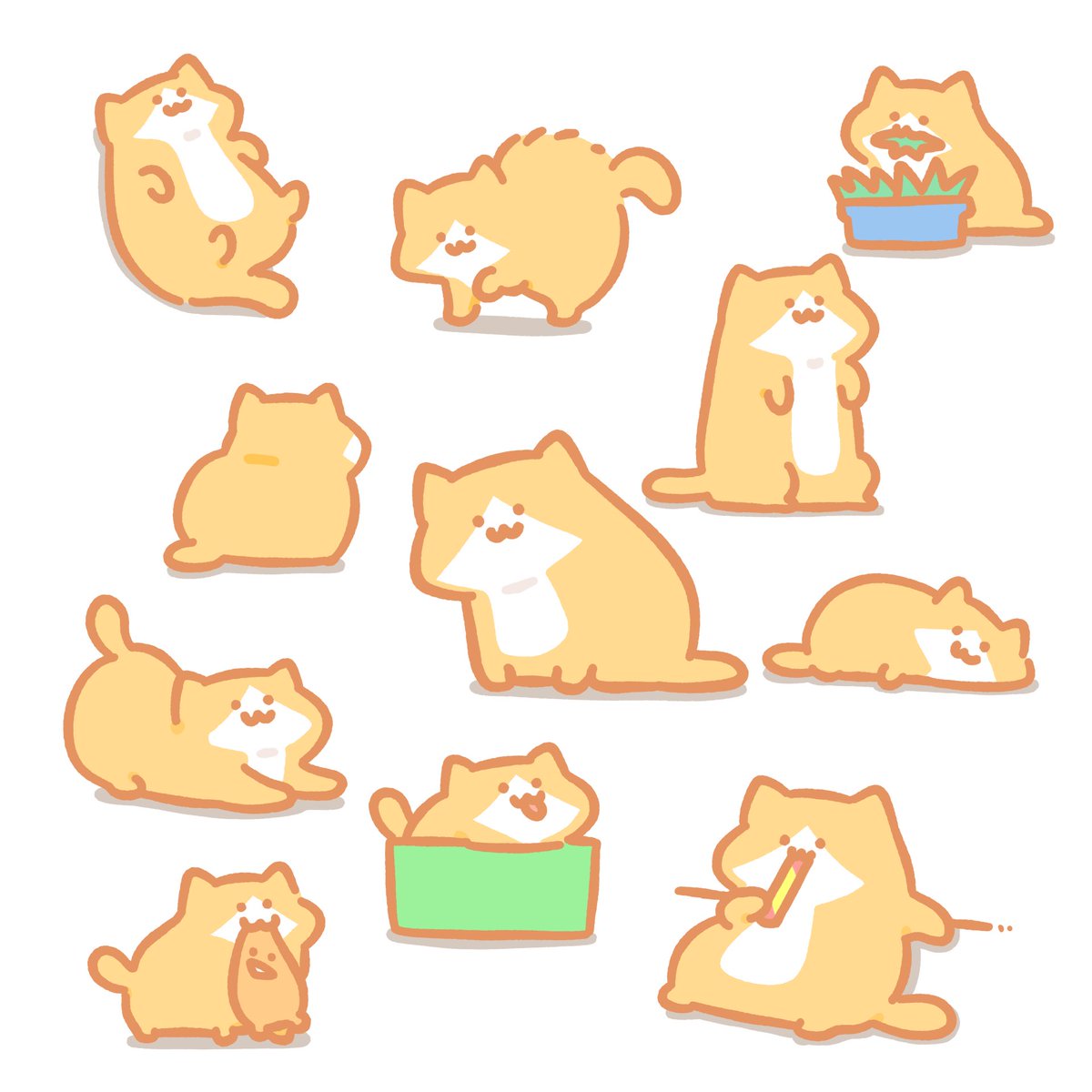 imoko_iimo's tweet photo. 🍊🐈 https://t.co/r3WEV8edQV