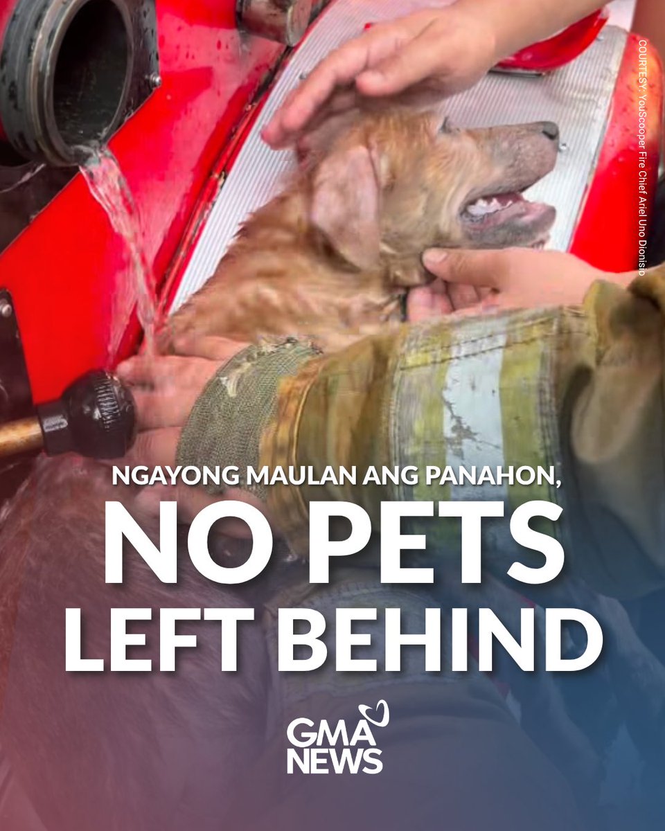 gmanews's tweet photo. LIGTAS ANG BAWAT ALAGA 🐾

Ngayong tag-ulan, huwag natin kalimutan ang ating mga alaga.

Ingat, mga Kapuso! https://t.co/IaRX1KXT3e
