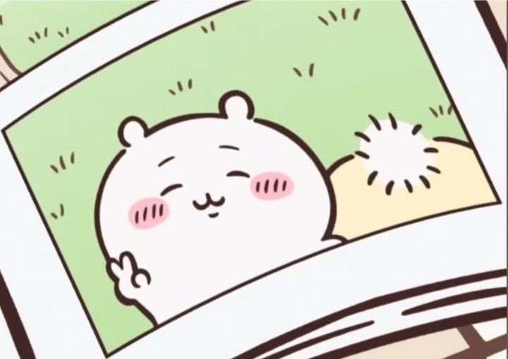 ungga_gamja's tweet photo. 사진찍는데 엉덩이내미는 기개 미쳣음 https://t.co/TY4MOIChkb