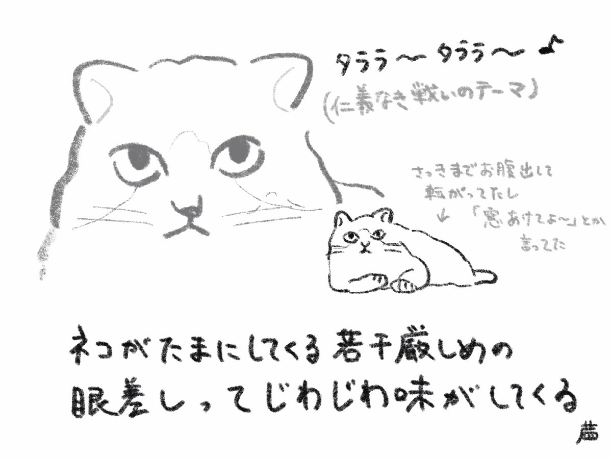 3umnr's tweet photo. #世界猫の日 https://t.co/gl4X9IDvsm