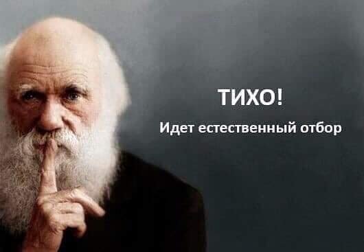 Trahtibidohter's tweet photo. @xxeegghhffrr https://t.co/8GfGHsXlUb