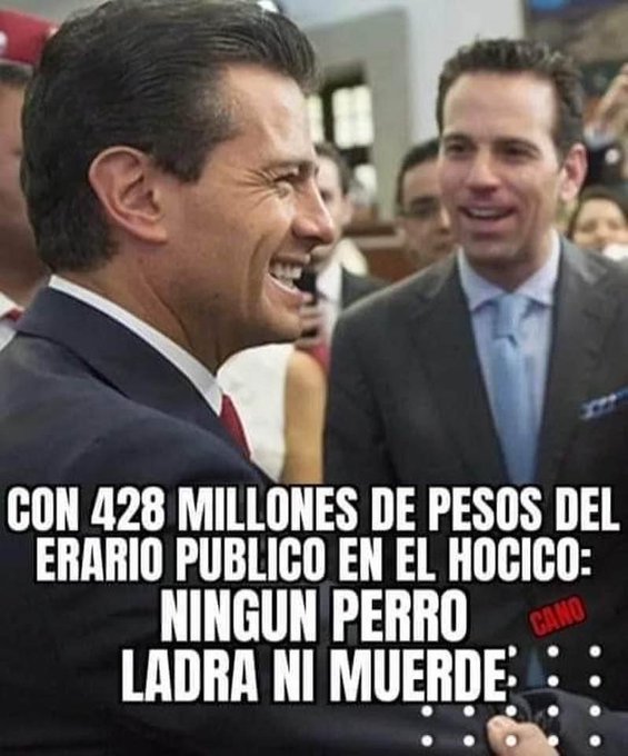 manuelmol1n4's tweet photo. @montes_paty1703 @Melissa_Bely Nmms hdtpm, y a los ke tu les krees,🤣😂🤣😂🤣😂 estás más pendeja ke tu pta derechanga m@dre y la botarga juntas 😂🤣😂🤣😂🤣😂 https://t.co/0rAgg5lszR
