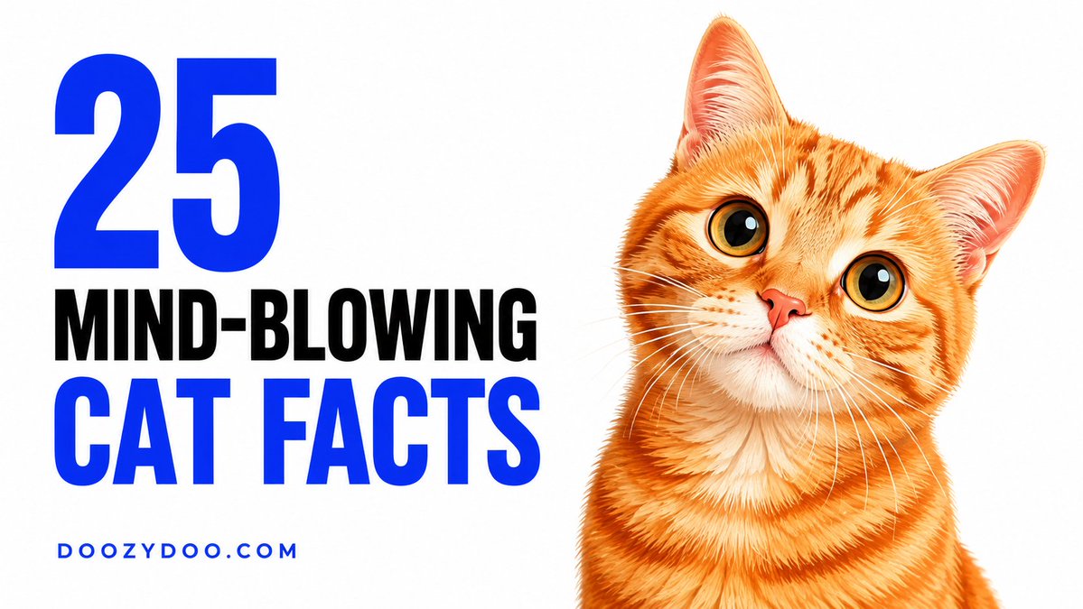 doozydoo's tweet photo. Cats have extraordinary hearing, night vision and their own language for communicating with us.
They use these incredible abilities to scream for food and knock shit off the counter. 🐈😂
25 Mind-Blowing Cat Facts:
https://t.co/J9nOIKWA0o
#CatFacts #DOOZYDOO https://t.co/ya3IugxX40