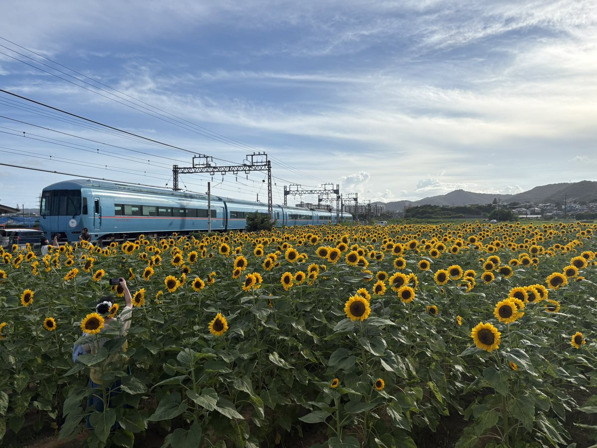 train_zaemon's tweet photo. 道の駅どうし→山中湖→ほうとう小作→道の駅足柄→ひまわり畑🌻→帰宅
ひまわり見頃だった🥰 https://t.co/MozTlkKjOl