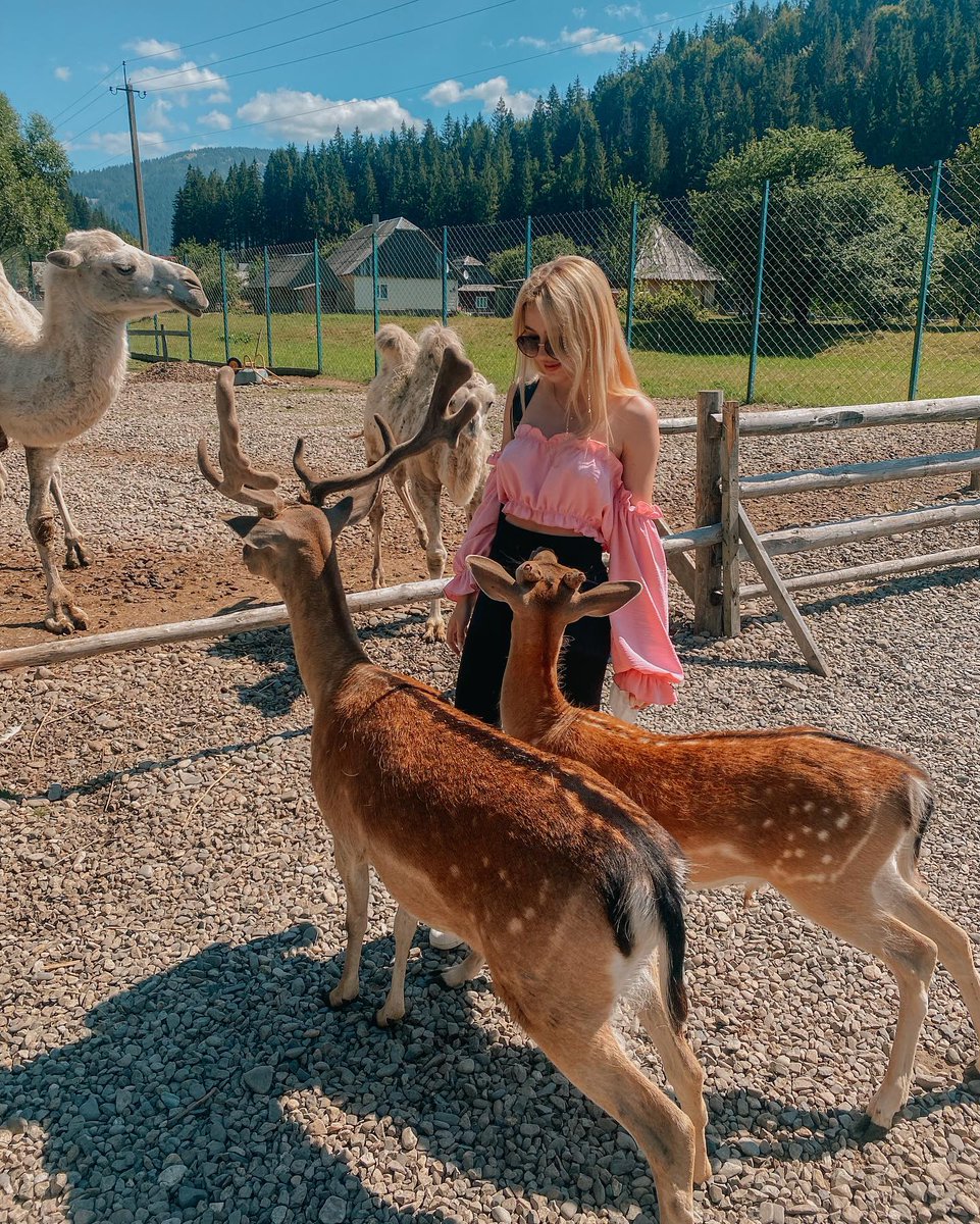 Riloh91's tweet photo. What is in the zoo?😂😛Of course it's me this great beauty #zoo #Saturday https://t.co/53si4v4mS8