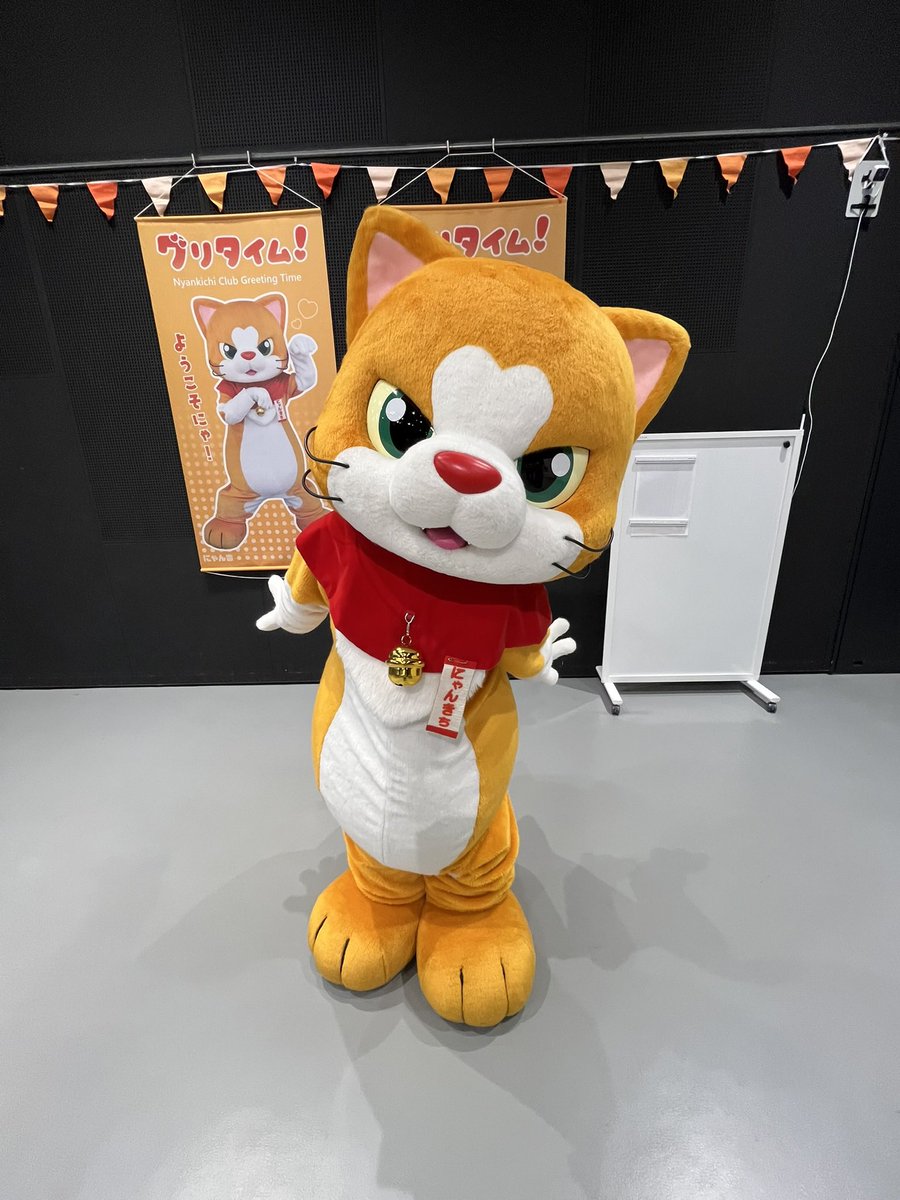にゃん吉【公式】Nyankichi (@cat_nyankichi) / Posts / X