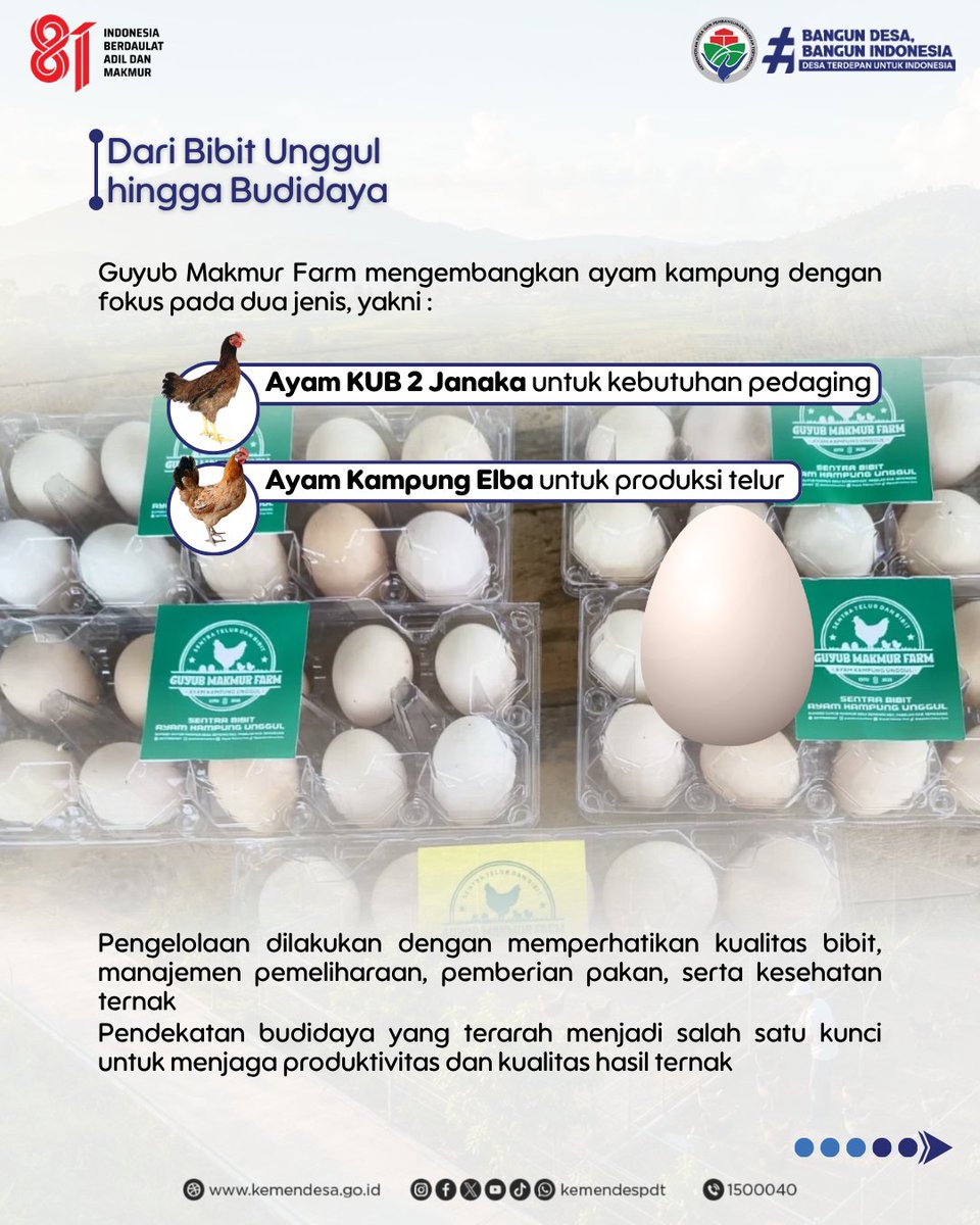 kemendespdt's tweet photo. Dari Dana Desa, Tumbuh Kemandirian Pangan🌾

Di Desa Semowo, Kabupaten Semarang, Dana Desa tidak hanya menjadi anggaran pembangunan, tetapi juga dioptimalkan untuk menggerakkan potensi ekonomi desa. https://t.co/pcJUrVyb3M