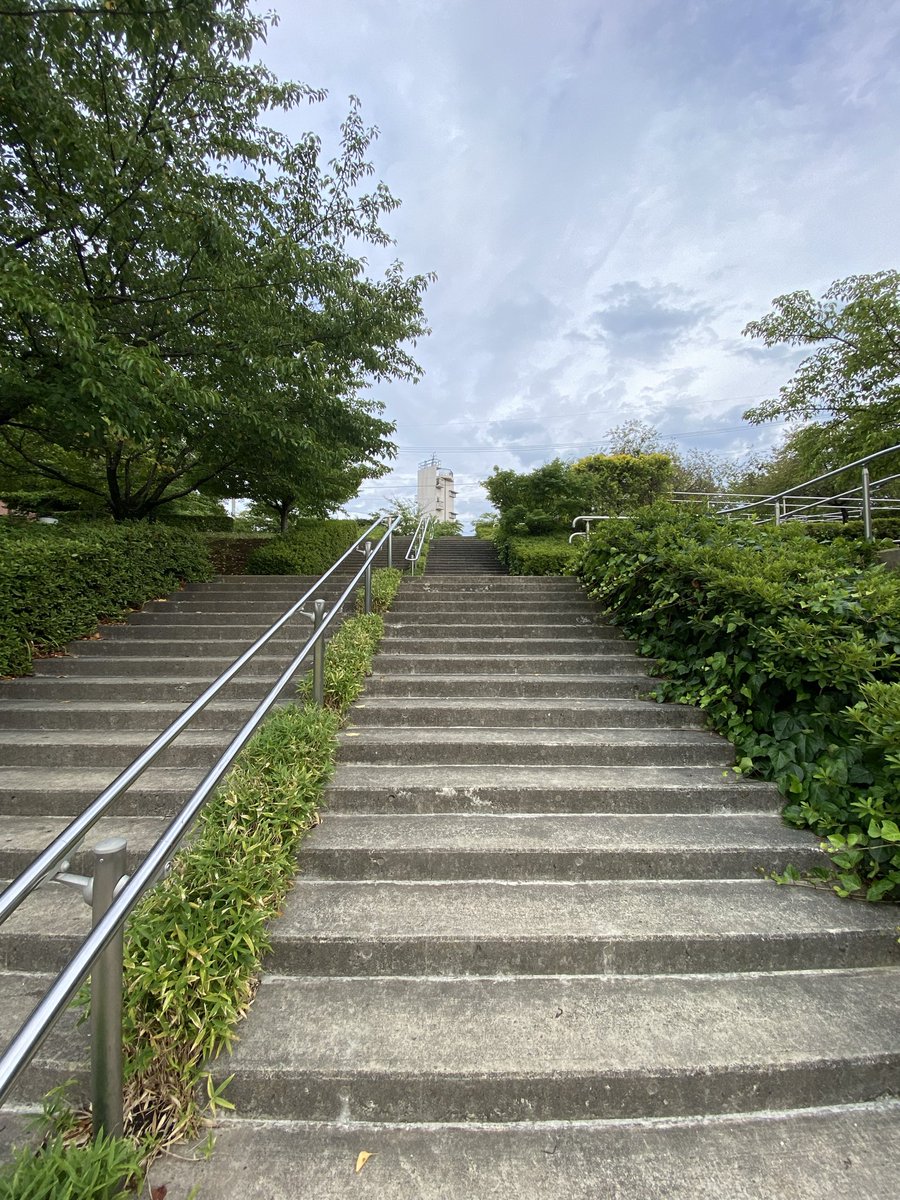 wadaissey's tweet photo. 20260808
ジョグ4km
階段駆け上がり×5
坂ダッシュ70m×5

1週間ちょっと熱中症の症状が抜けず、ようやく回復。
そもそもの練習不足もあり、バテバテ🥵 https://t.co/15uViajeTO