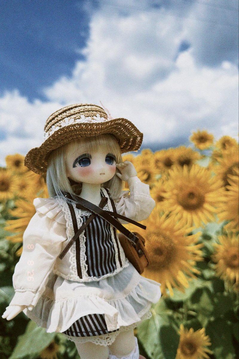 NormalUncleDesu's tweet photo. 向日葵畑でシェリアさんとドル活！

開花シーズン的にギリギリ���ったんだけれど、なんとか間に合ってよかった。

被写体が天使だとアホほど写真を撮っちゃって困るぜ！

 #ドール
 #tinyfox
 #ウェステ https://t.co/2L6B7pROyi