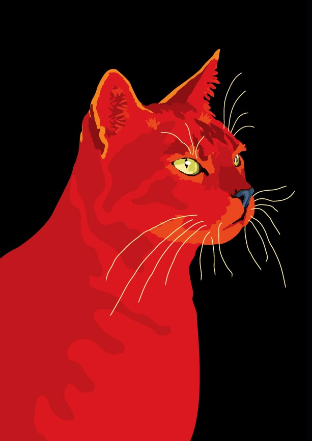 TheRedCatOnSol's tweet photo. meow https://t.co/7iShWUsJ3m