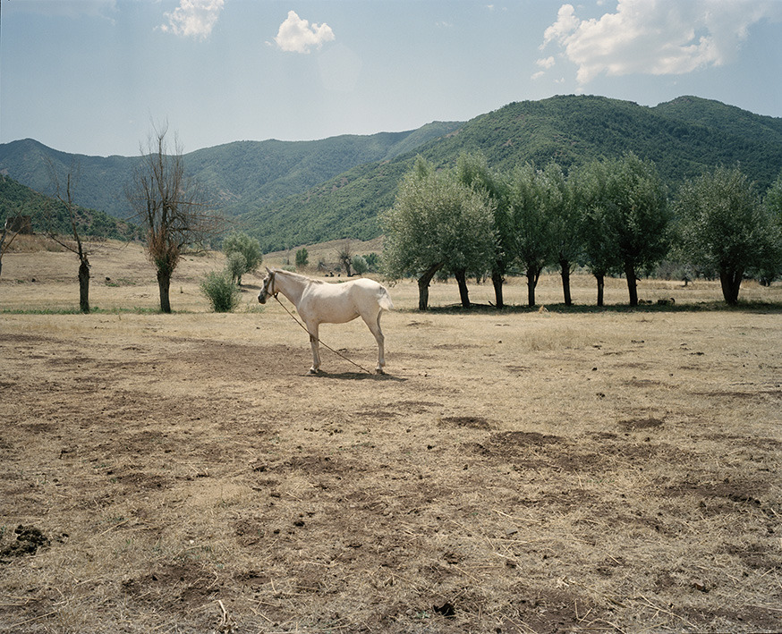 Robinthekurd's tweet photo. Dêrsim, Northern Kurdistan. By Miriam Stanke https://t.co/Yq3Uo3NIMJ
