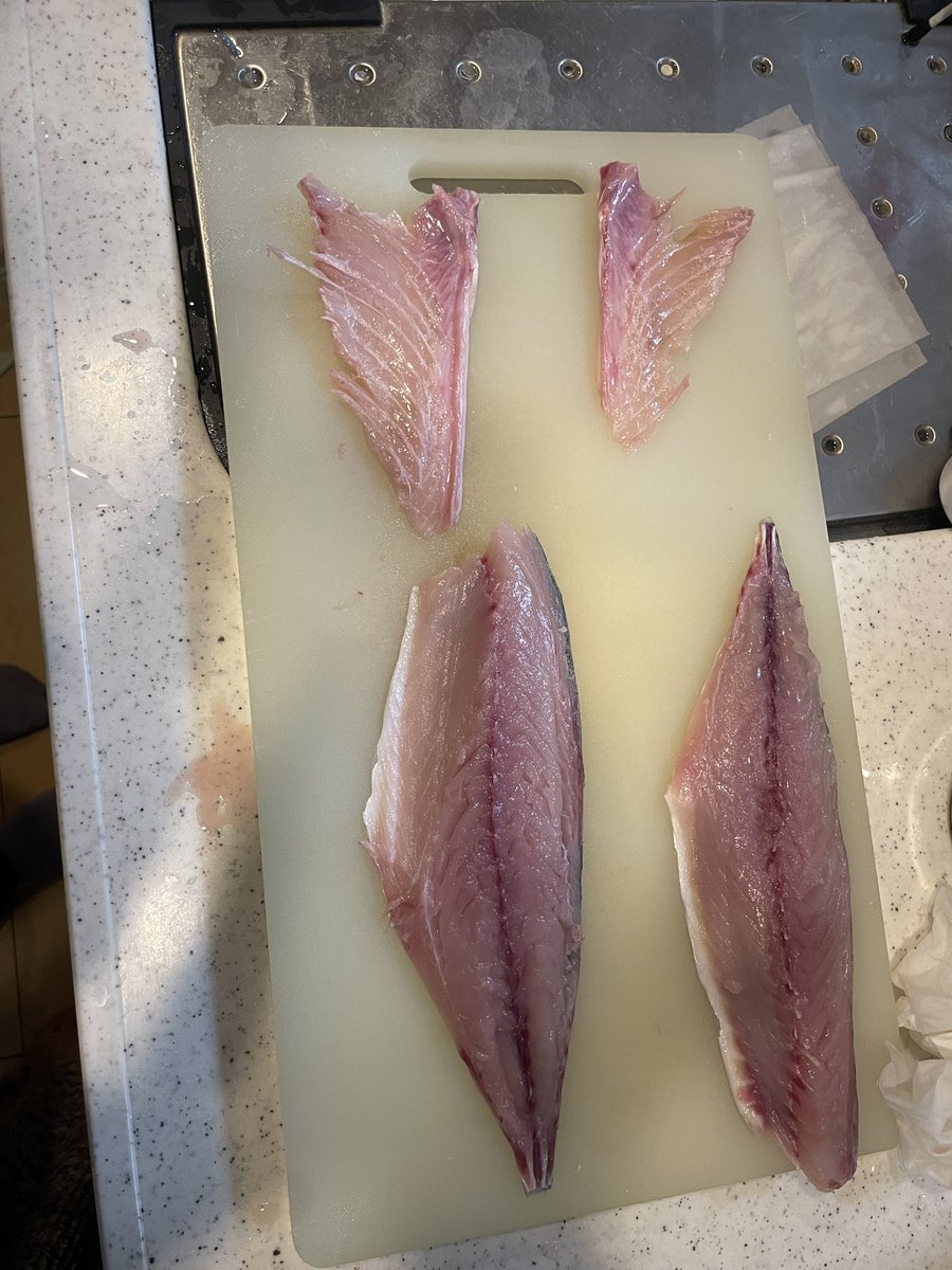 camera_1225's tweet photo. せや、サバ捌いて、味噌煮としめ鯖作ってん。

それだけ✋(*｀ω´*)ﾄﾞﾔｯ

しめ鯖だけはもっと上達する…塩抜きが甘かった… https://t.co/B1uVWtak3L