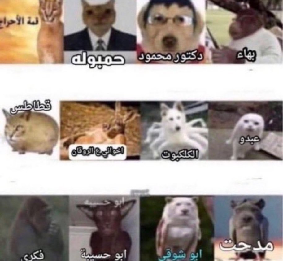__ArSfc's tweet photo. خط هجوم آرسنال https://t.co/8zFb7ZIViU
