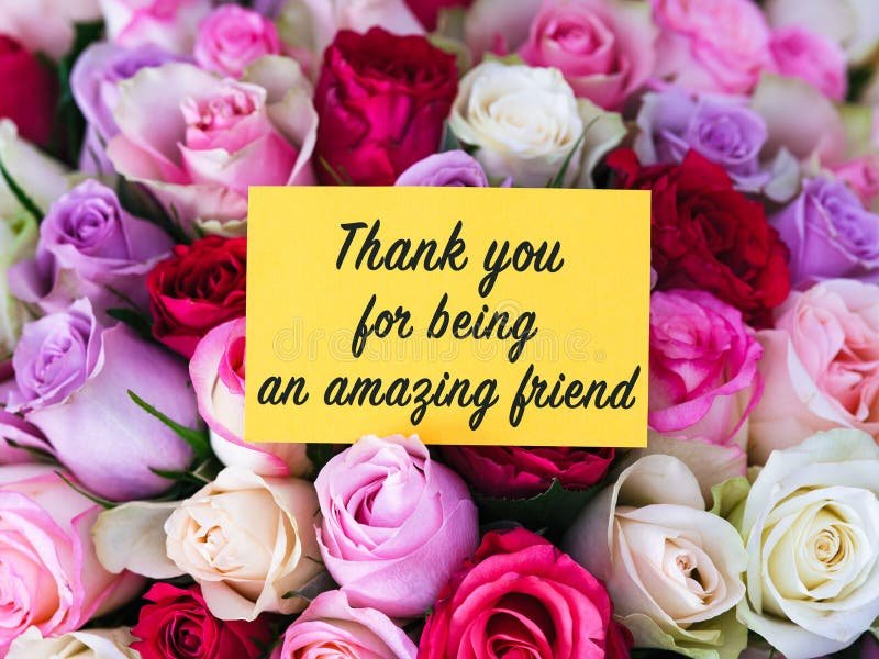 ticat_kate's tweet photo. @CATHERENI @Ursulapax @The_Odd_Jason @DebbieZimmer54 @Cynthiacooper37 @fifelino @profpatti @PatGrant7777 @Bewickwren @Kiro1103 @BarryHall9 @BunnieKat1962 @fett1111 You're most welcome Dear Catherine 💖 
Happy Saturday afternoon my friend. https://t.co/zzIo84BnEj