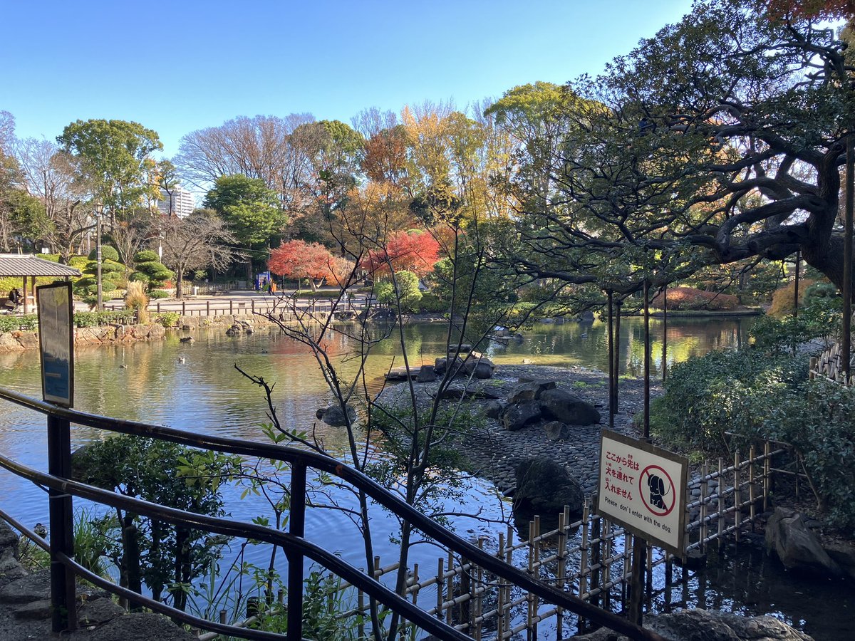 isct_info's tweet photo. おすすめの散歩道は戸越公園です🥰 https://t.co/ohTO4wMjAl