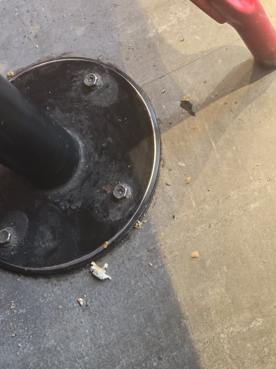 legendanand's tweet photo. @Tukaram_IndIAS 
Unhygienic condition found.
Flies every where. 
Dirty, waste food on floor.

Location- KFC chikhali, Bhosari. pune https://t.co/vTlfGr1Bgw