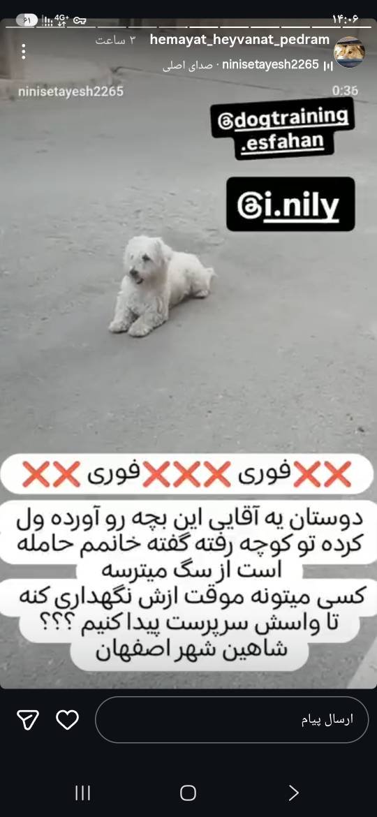 Tenne30Tuxedo's tweet photo. کسی اگر از اصفهان میتونه این سگ زیبا رو نگهداری کنه به آی دی داخل عکس در اینستاگرام پیام بده لطفاً 🙏🏻 https://t.co/62iVT0FAvn