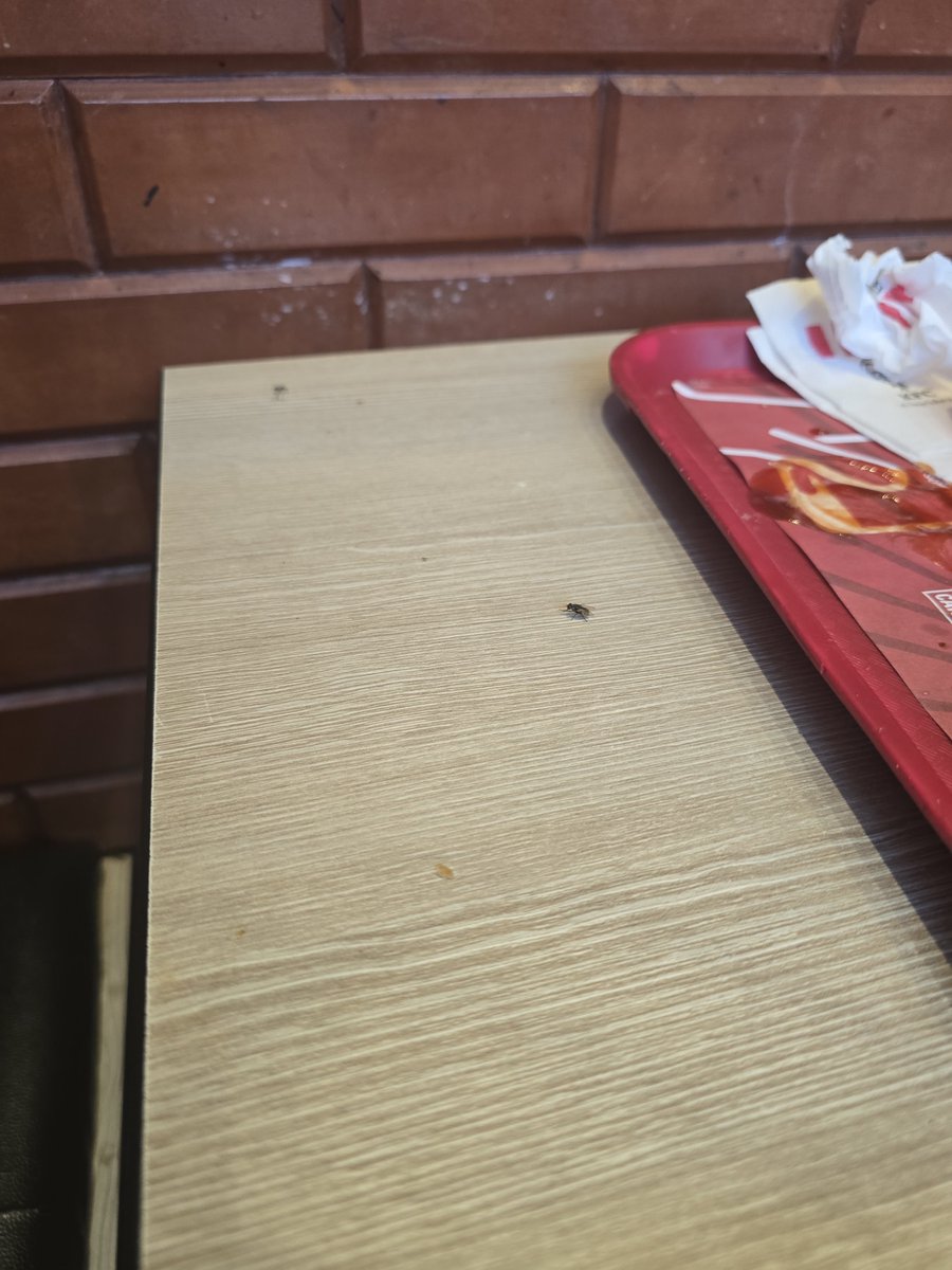 legendanand's tweet photo. @Tukaram_IndIAS 
Unhygienic condition found.
Flies every where. 
Dirty, waste food on floor.

Location- KFC chikhali, Bhosari. pune https://t.co/vTlfGr1Bgw