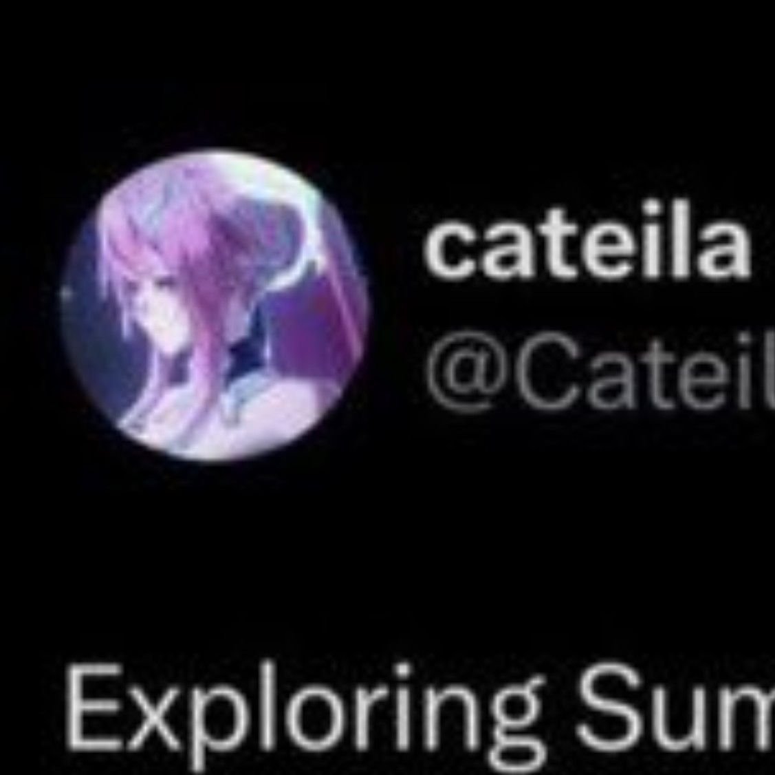 MyrianelleCEO's tweet photo. Like which xiaomi horrendously edited her pfp on top of jordans? You can tell this is so obviously edited with the way its way lower quality than her actual one during that layout. https://t.co/J8Iuc2sK4d