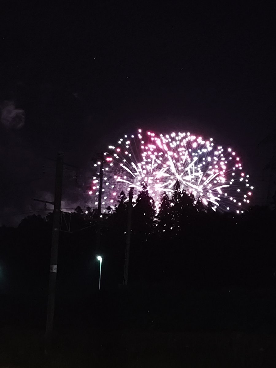 levordq's tweet photo. お疲れ様でした
日中暑すぎるのに、夜は涼しくて歩きやすい！
#ピクミンブルーム #コミュニティデイ #ピクミンと1万歩の旅 https://t.co/2WieFXjBI2