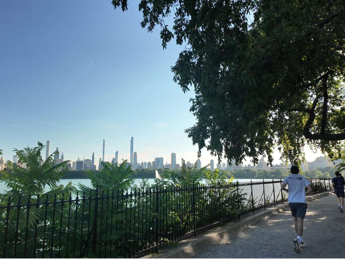 Tiny1Wildflower's tweet photo. There were people everywhere walking, jogging, chatting, and playing tennis. https://t.co/TPgPeskAEP