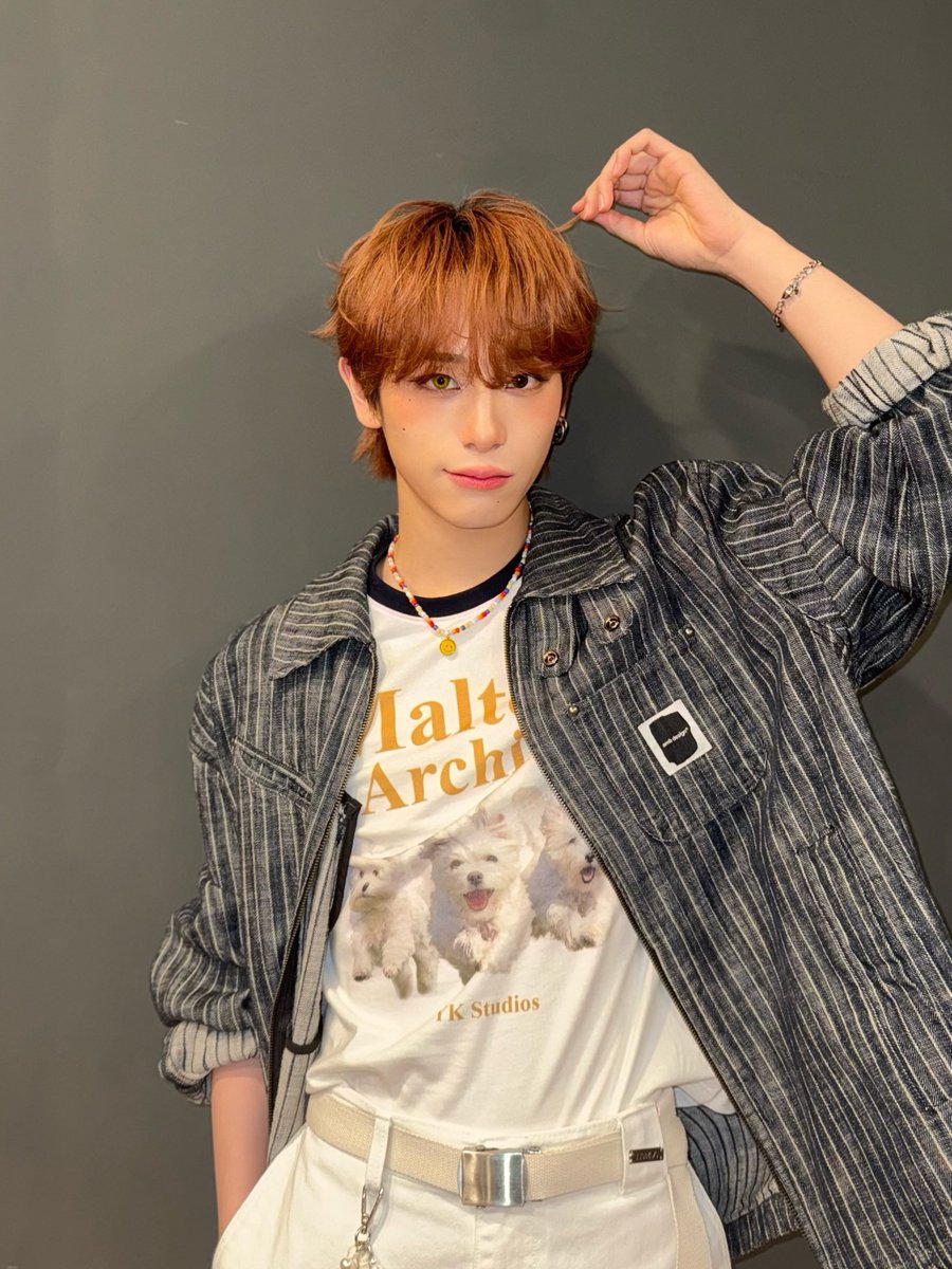 teamkatoharu's tweet photo. 누나..가세요
누나한테  고양이로 변하는 모습.....
제가진짜로보여드릴게요 https://t.co/X9xZ6o610b