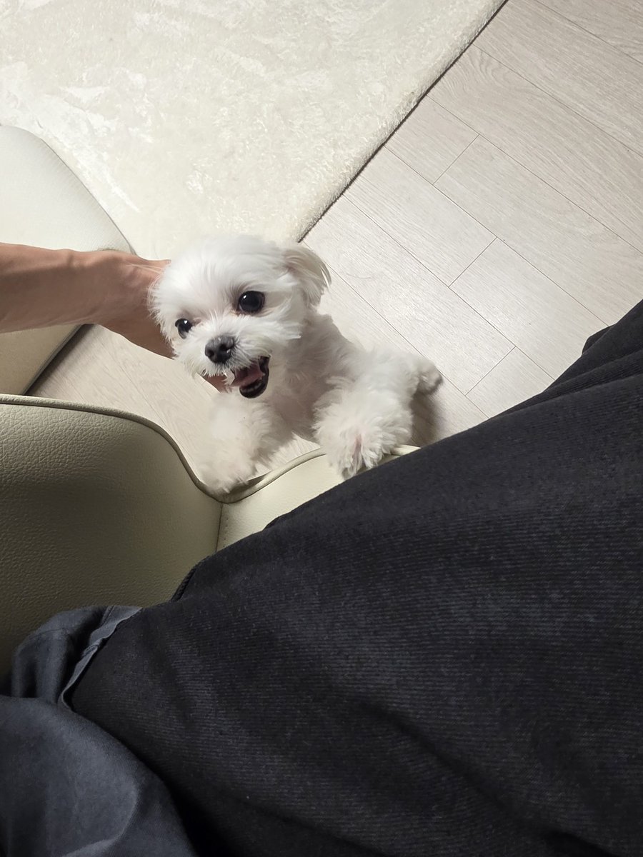 mepuppieyou's tweet photo. ซองชานถ่ายคยออุลมาให้ดูอีกแล้ว เจออปป้าแล้วหน้าตาสดใสเชียวล่ะ น่ารักง่ะ ♡ https://t.co/CtGaT9sOGP