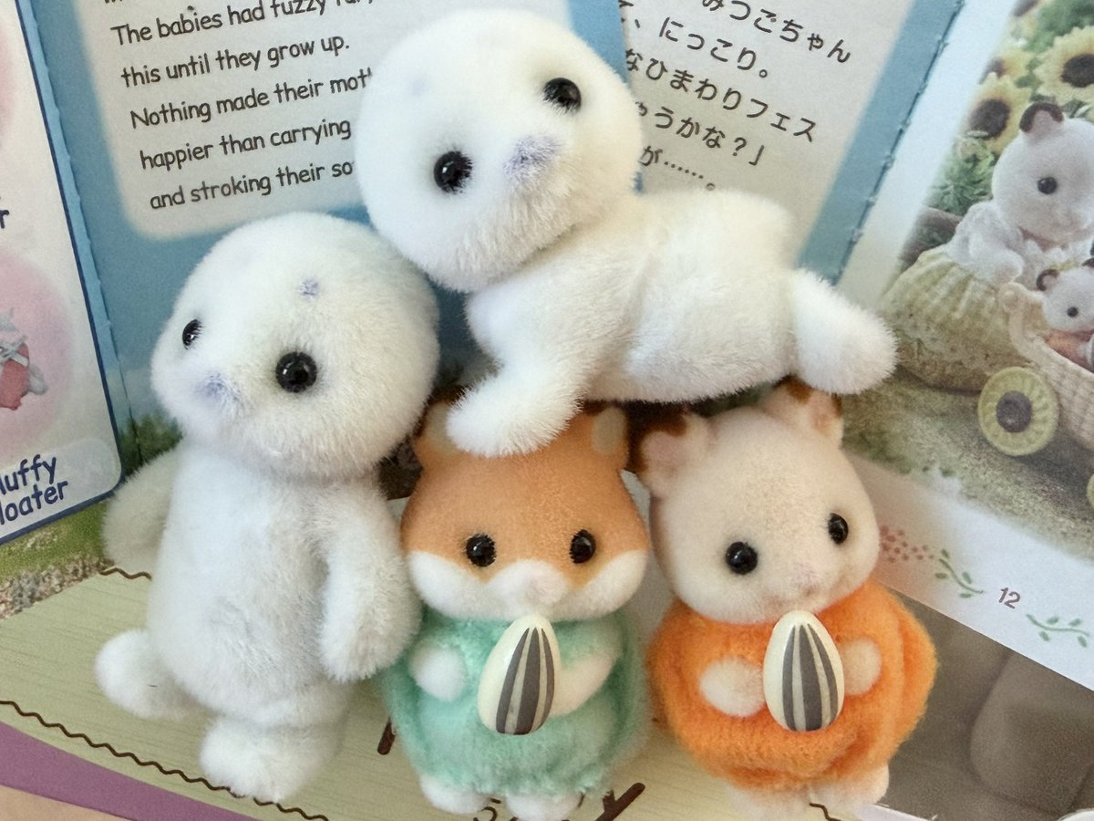 olb4aw's tweet photo. ㅇㅇㅇ https://t.co/RBqf5BgNMV