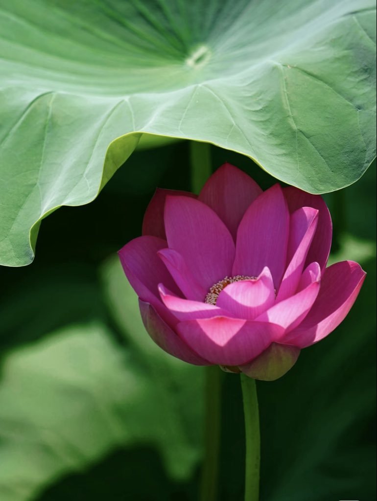 jRSYuM60WZ15488 tweet picture