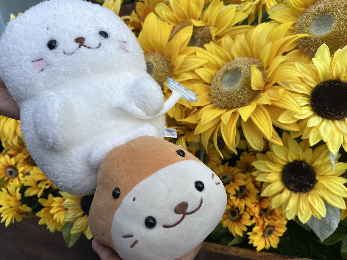 ハンドパペぐるみが、可愛すぎて…お迎えしました(*^^*) #しろたん