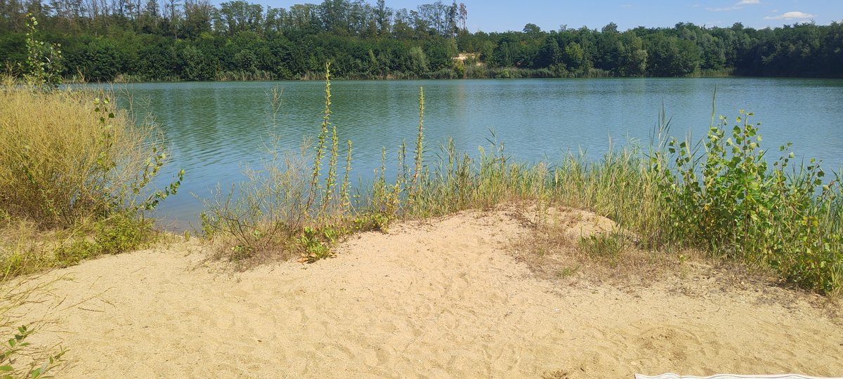 eFKaKaCZ's tweet photo. @pavla20491371 U nás to samé 🏖️ https://t.co/rHado4r24S