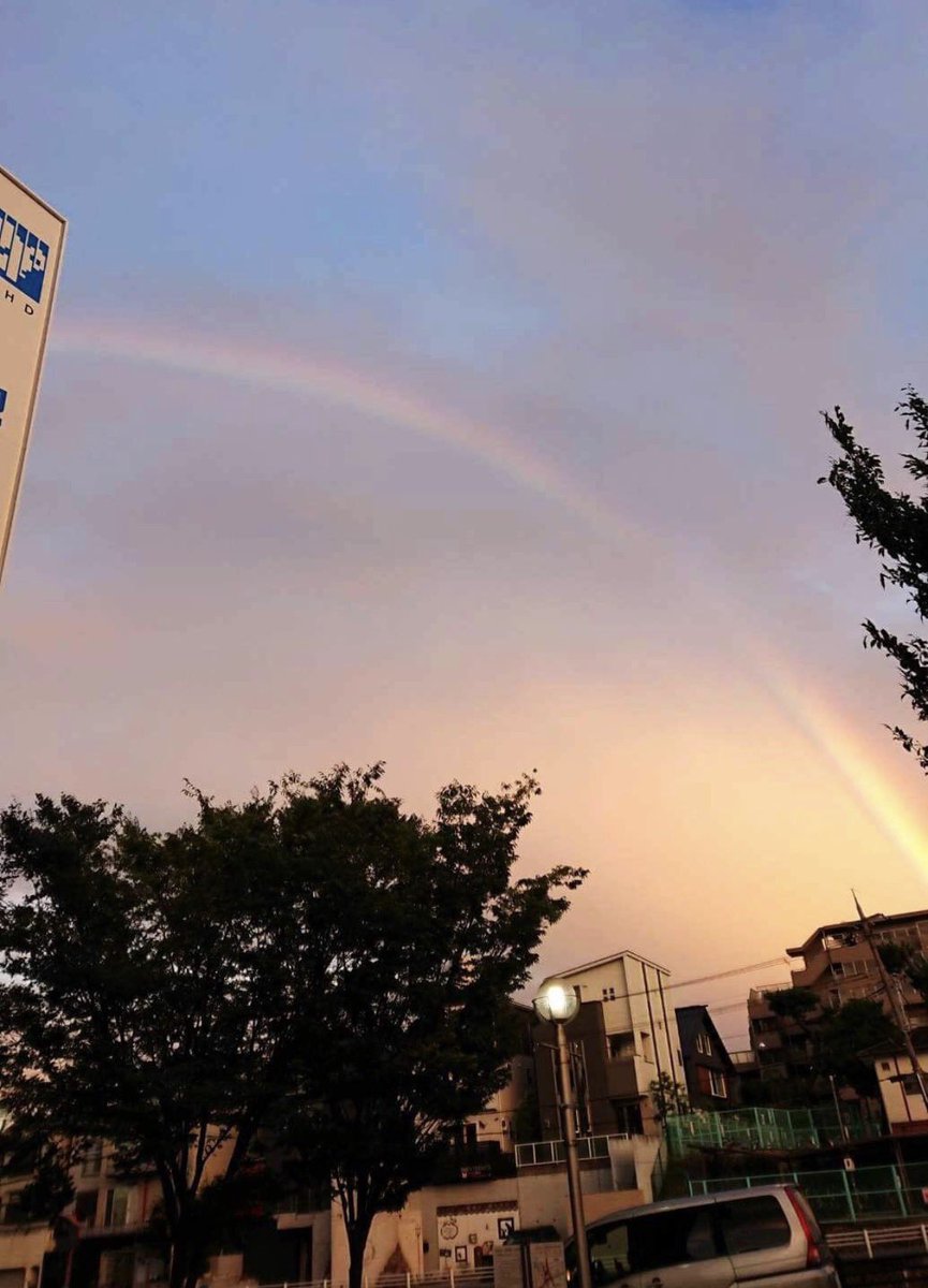 tomoe_ohara's tweet photo. 今日は #世界猫の日 🐈🌈
愛猫たちとの、ちょっと不思議なお話をひとつ。

写真のコラージュは、コタツくんやぺーたんが生まれる前、2017年に作って頂いたものです。

🌳右上の木の上にいるのは、初代愛猫のコタくん。2015年に虹の橋を渡っていました。

そして、その下で寝そべっているのがスコティッシュのコジくん。
この頃はまだ元気に過ごしていたのですが、なぜか私はこの写真を見たときに「なんとなく、遠くへ行ってしまいそう…」と感じたのを覚えています。

それでも写真自体はとても綺麗に仕上がっていたので、そのまま受け取ることにしました。

そして3年後――
木の下で寝そべるコジくんは、突然虹の橋へ🌈

さらに、その少し前にはマイペリのお店の上に大きな虹がかかっていました。

今思えば、このコラージュは何かを知らせてくれていたのかな…なんて。
偶然と言えば偶然なのですが、私にとっては忘れられない不思議な出来事です。

猫って、私たちには見えないメッセージを送ってくれているのかもしれませんね🐈

虹の橋の向こうでも、たくさんのお花に囲まれて幸せに過ごしていますように🌈💐🐈