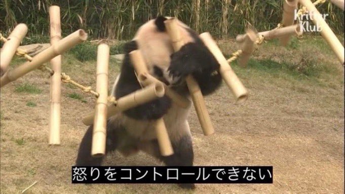 micha__cd_310's tweet photo. 今日ぱんぱら赤鳥プラ出したからちょうだい https://t.co/VxaI4si39j