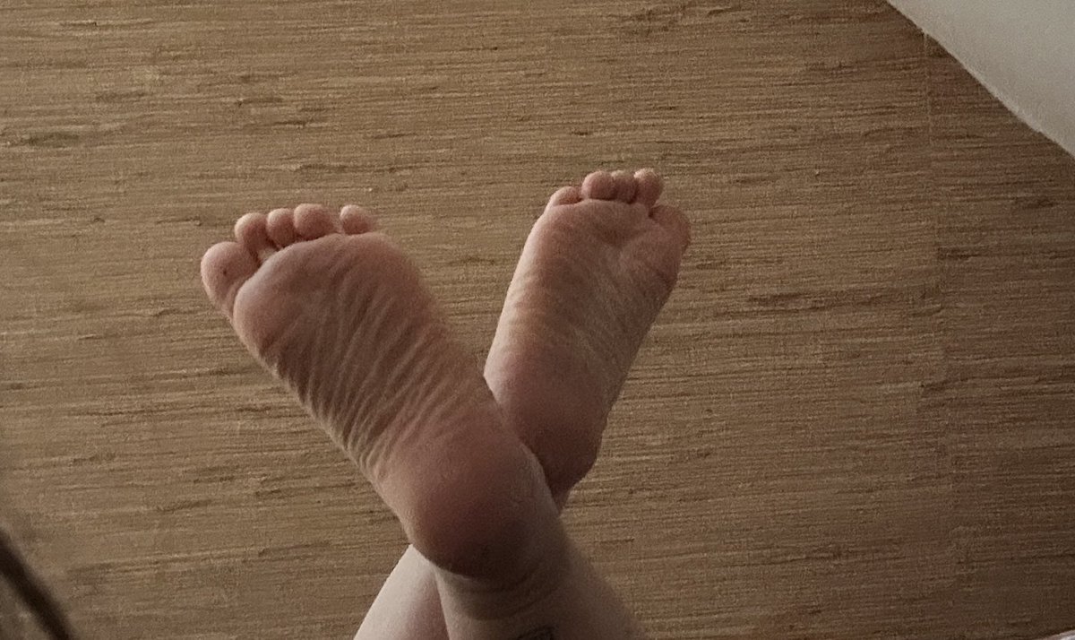 FeetZaya's tweet photo. dm moi 💋
#feet #feetfetish #feetworship #feet. #feetbuyer #trending #FeetOfTheDay
#feetcommunity #feetmen #foot #footfetish #footdomination #feetdom #toes #toescurl #soles #solescrunch #buyingfeetcontent #sellingfeetcontent #feetpics #feetdom #findom #findomgoddess https://t.co/2eS0Tm81DE