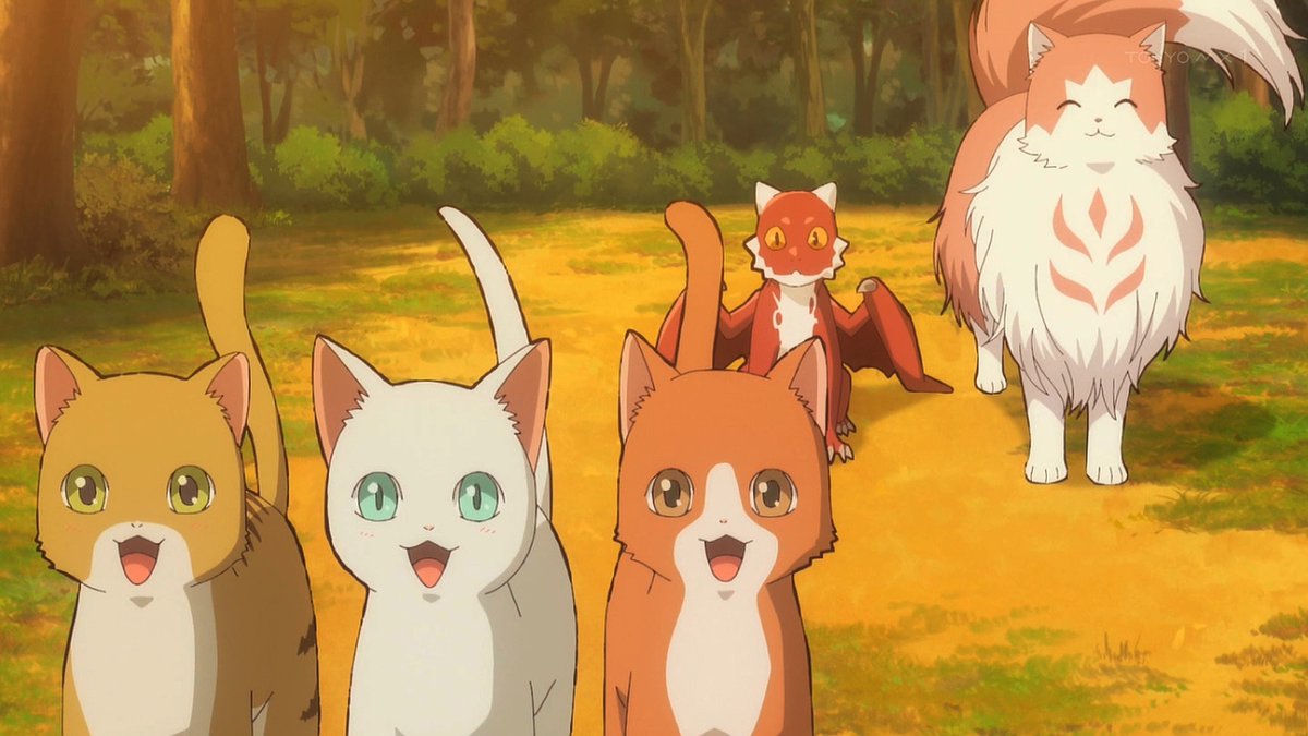 猫と竜 第6話 ツイート画像 1