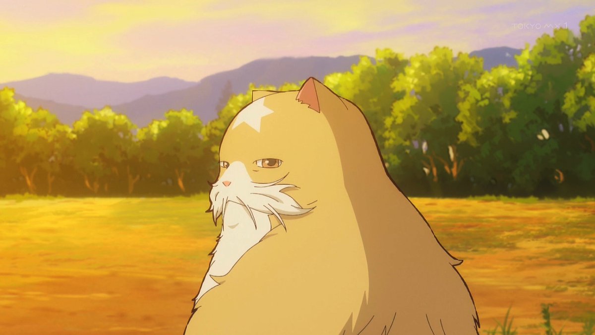 猫と竜 第6話 ツイート画像 1
