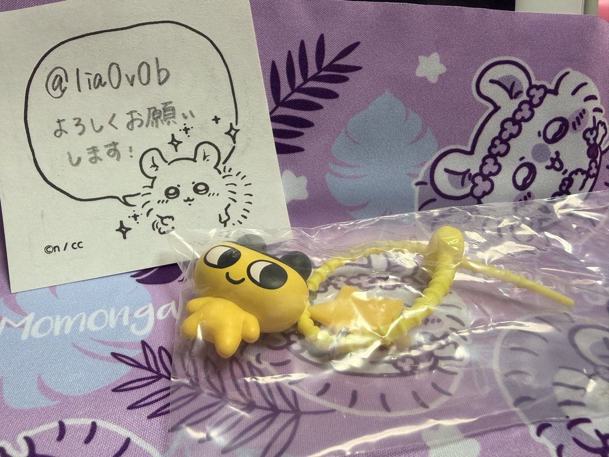 lia0v0b's tweet photo. @_hana23_ 初めまして、検索から失礼します。
画像のまめっちを所持しているのですが、岩ピクミンのめじるしとの交換は可能でしょうか？
カプセルからは出してしまいましたが、
画像の袋からは一度も出していません。
ご検討のほどよろしくお願いいたします。 https://t.co/PCNDS0FoWs