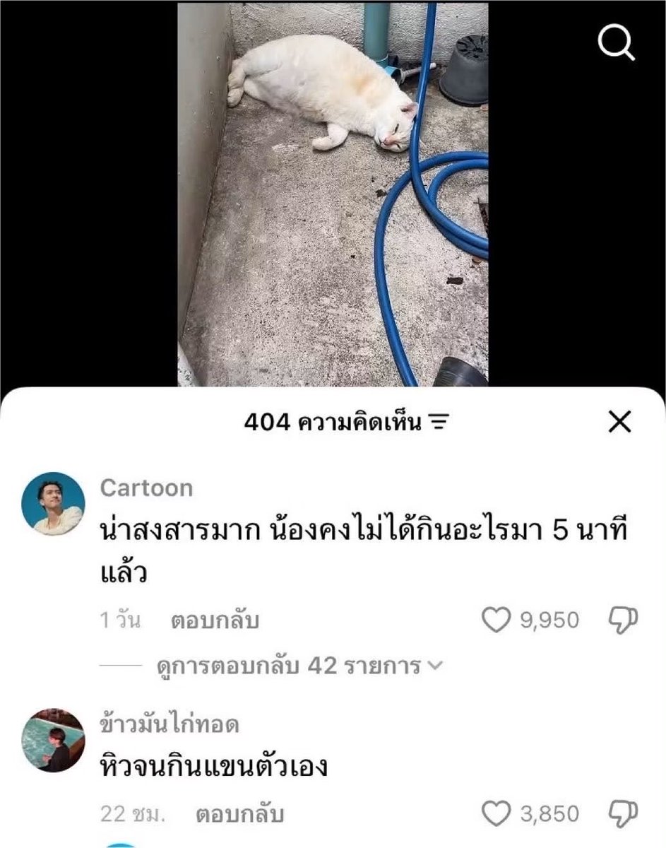 SABENZZ's tweet photo. อย่าบูลลี่น้อง 5555555555555555555555 https://t.co/obIu5fmBcy