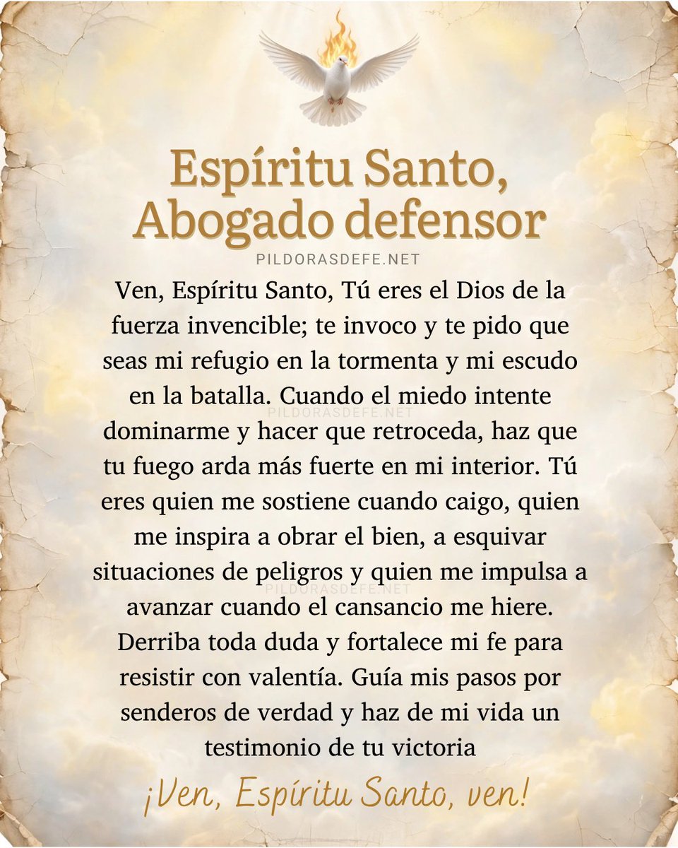 Pildorasdefe's tweet photo. Oración al Espíritu Santo: Abogado Defensor de las almas, eres tú quien me sostiene cuando caigo.

🙌 https://t.co/f0stJLABQM
