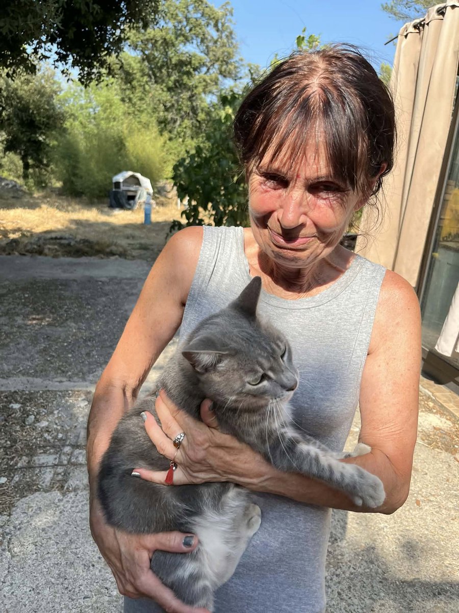 BRINDILLE851's tweet photo. Nomades : entraide et solidarité
Val Lapeste 
Bonjour
En esperant que l'entraide marche dans tous les sens
Notre association de protection animale essaie d'aider une dame agée en grand difficulté . Ell vit pres de Barjols 83, dans le sud sur un beau terrain de 3ha (avec des cabanes)  a l'ecart avec son petit refuge de chats
Elle a été prise en grippe par le village dont elle est victime de nuisances multiples, Jean de Florette avec le Papet pour resumer
J'essaie de l'aider mais suis a 6 h de route , je fais donc un appel a l'aide pour trouver un nomade bricoleur , qui voudrait se poser quelques jours et jeter un oeil a sa pompe
On lui demande 3000€ mais ca n'est peut etre qu'un petit probleme electrique
Donc, voila le deal, elle n'a pas d'eau (une autre urgenbce pour l'aider)  , mais une petite voiture pour remplir des jerycan au village a 5 minutes , mais il y a de l'electricité
Le terrain est beau, tranquille, donc ideal pour se resourcer quelques jours
Si vous avez des chiens, elle a 40 chats, donc il faut que vos toutous soient ok chat
Cette dame qui en plus est malade a vraiment besoin d'un petit coup de main
Je tiens aussi a prevenir que je suis en backup pour regler tout probleme si personne malhonette ou eventuel squatteur qui voudrait tirer avantage d'une personne en situation de faiblesse, car oui, ca arrive
Merci de m'avoir lu
sms au 0695464471 si questions