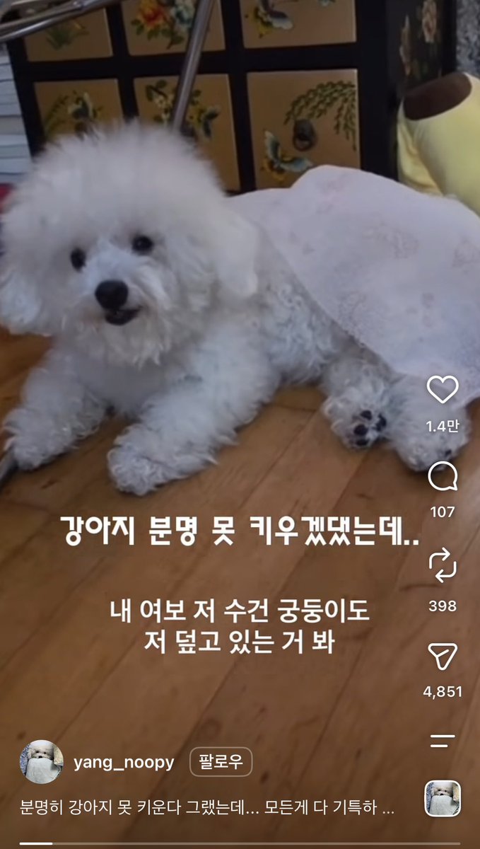 DoongE_official's tweet photo. 네 제가 아저씨의  수건을 덮고있었읍니다 https://t.co/aQ3g0H8QrH