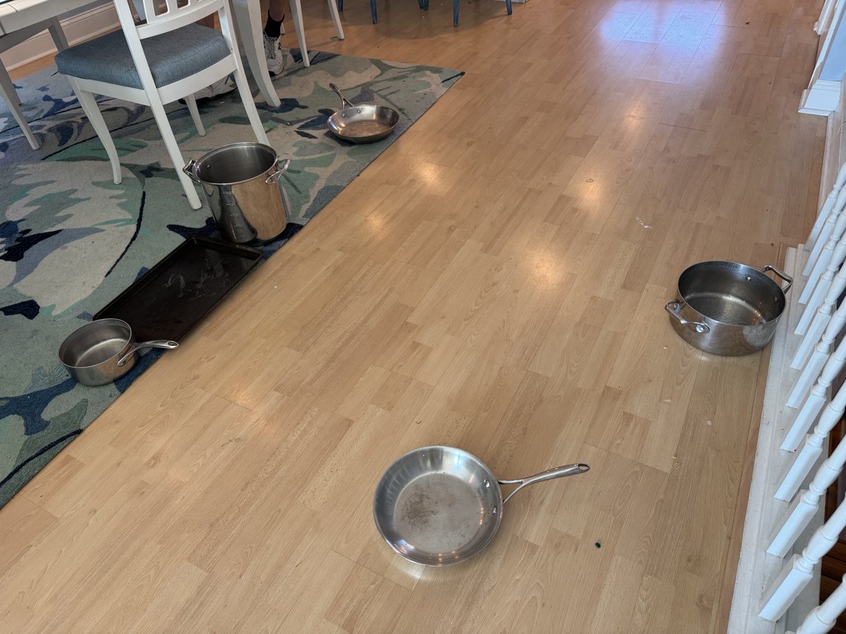 SusanPage's tweet photo. Why, yes, we do seem to have sprung leaks in the ceiling >>> https://t.co/JlXyC1WZKD