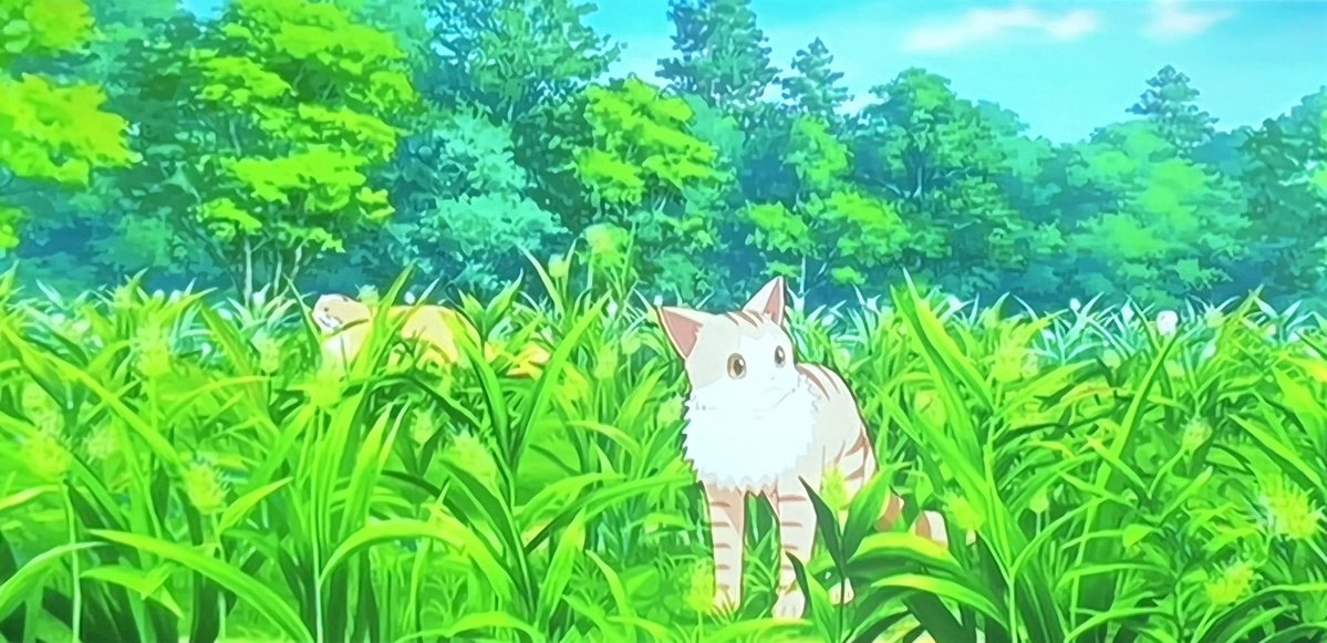 猫と竜 第6話 ツイート画像 1